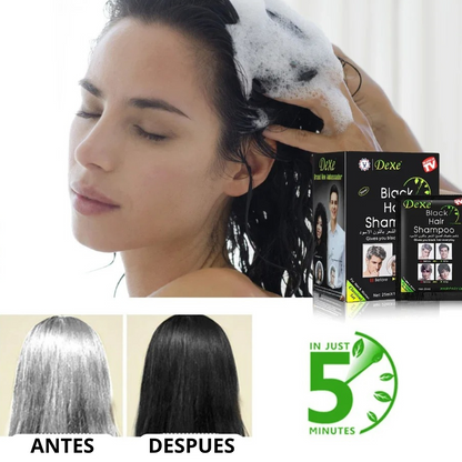 DEXIA SHAMPOO CUBRE CANAS 12 PACK